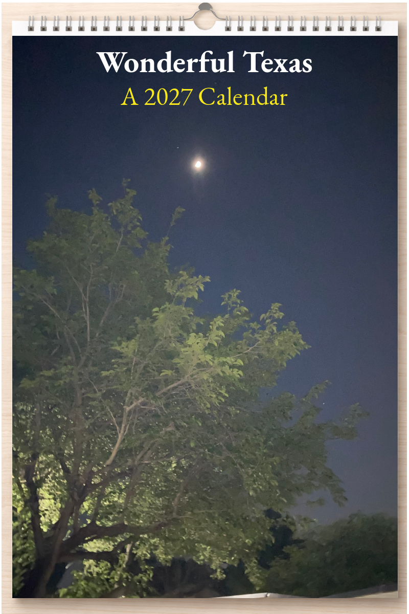 Wonderful Texas: A 2027 Calendar