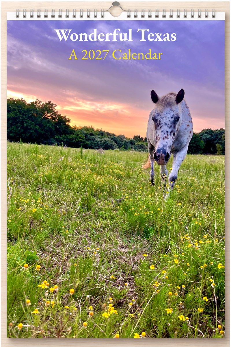 Wonderful Texas: A 2027 Calendar