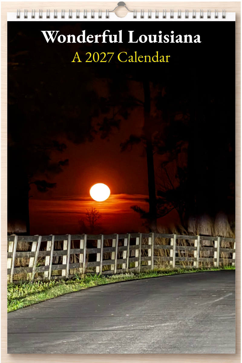 Wonderful Louisiana: A 2027 Calendar
