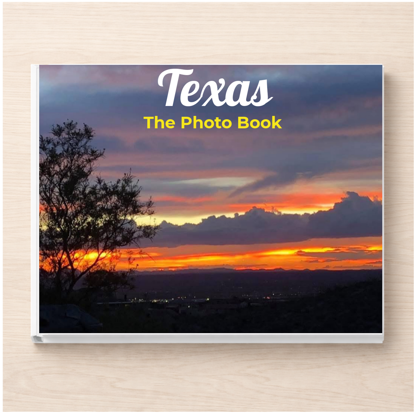 Texas: The Photo Book