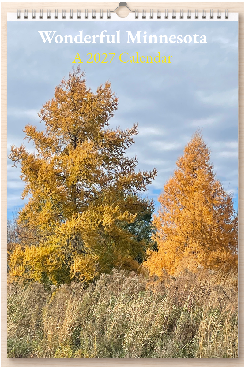 Wonderful Minnesota: A 2027 Calendar