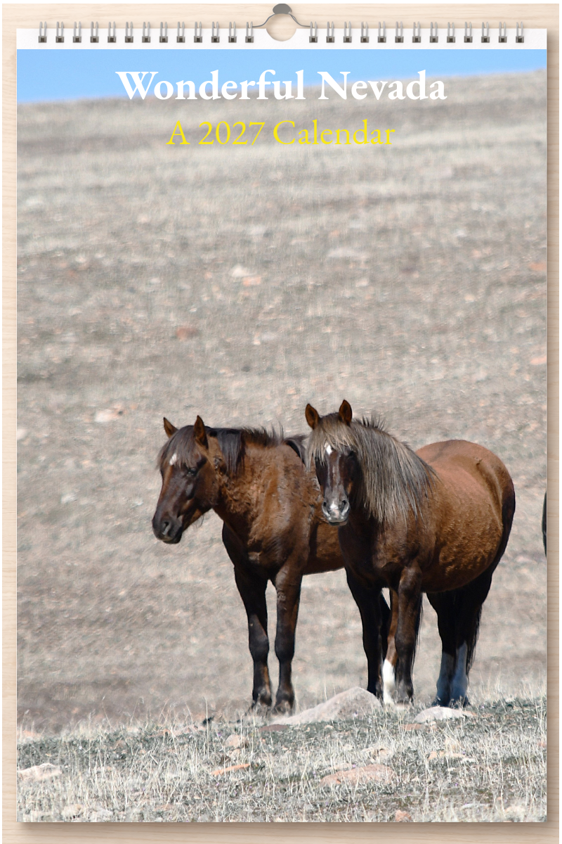 Wonderful Nevada: A 2027 Calendar