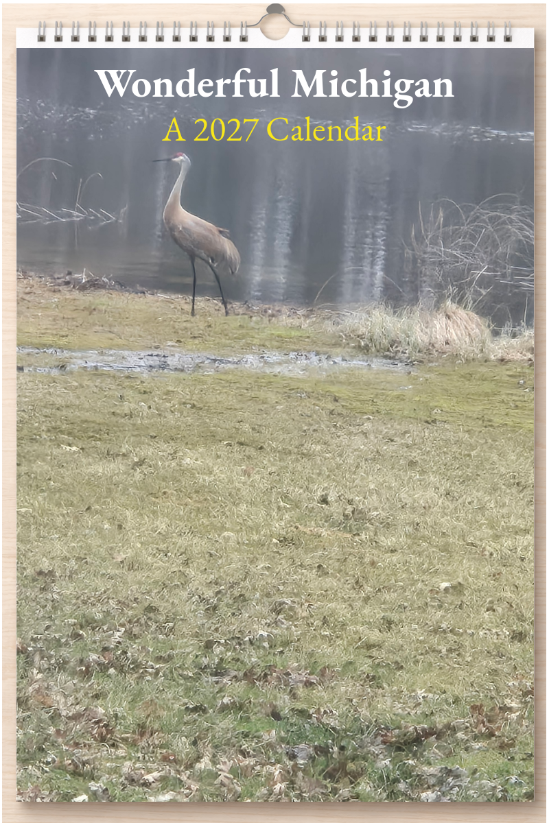 Wonderful Michigan: A 2027 Calendar