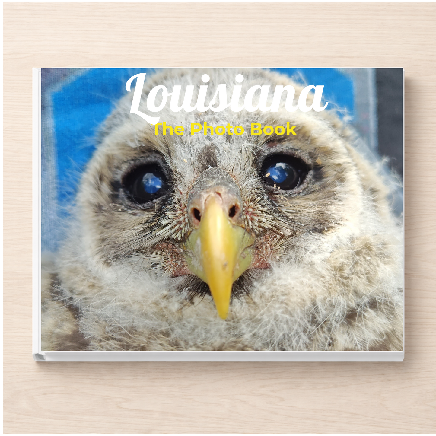 Louisiana: The Photo Book
