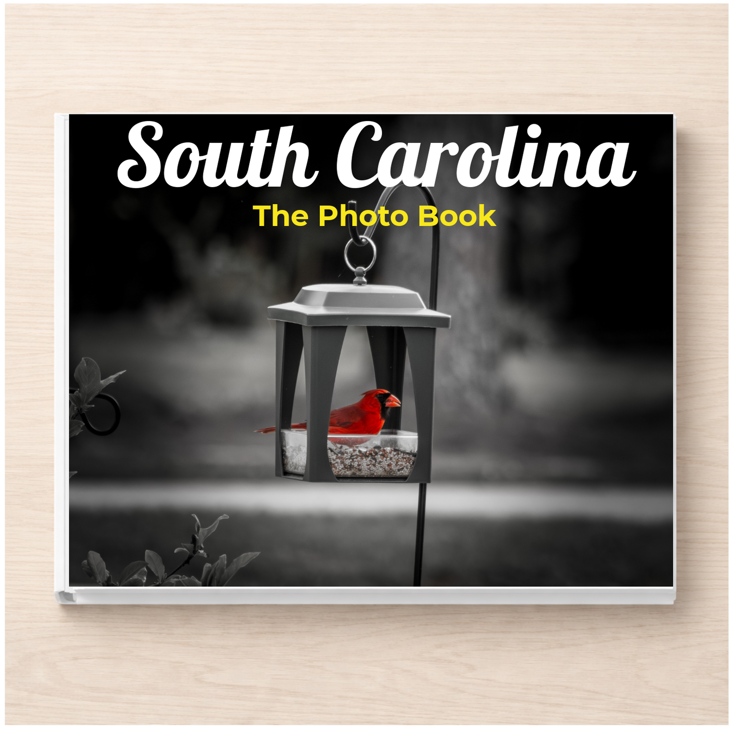 South Carolina: The Photo Book