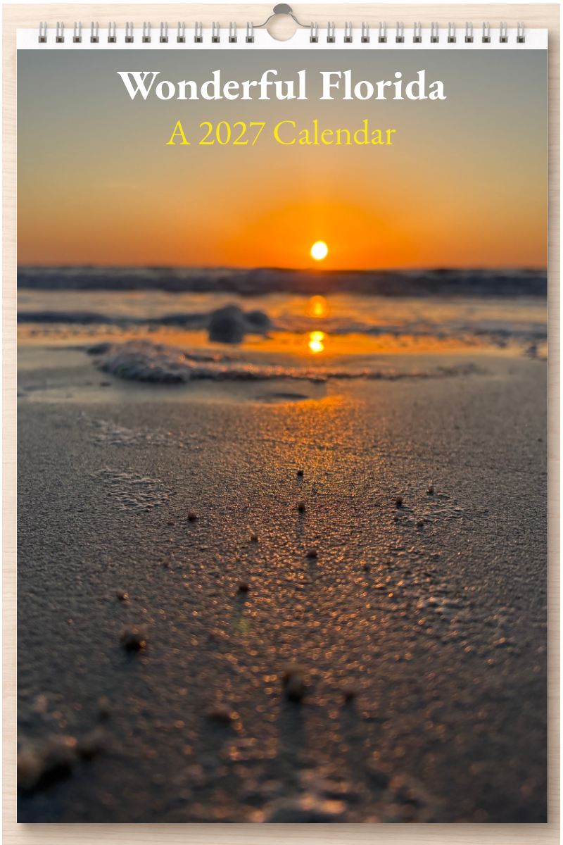 Wonderful Florida: A 2027 Calendar
