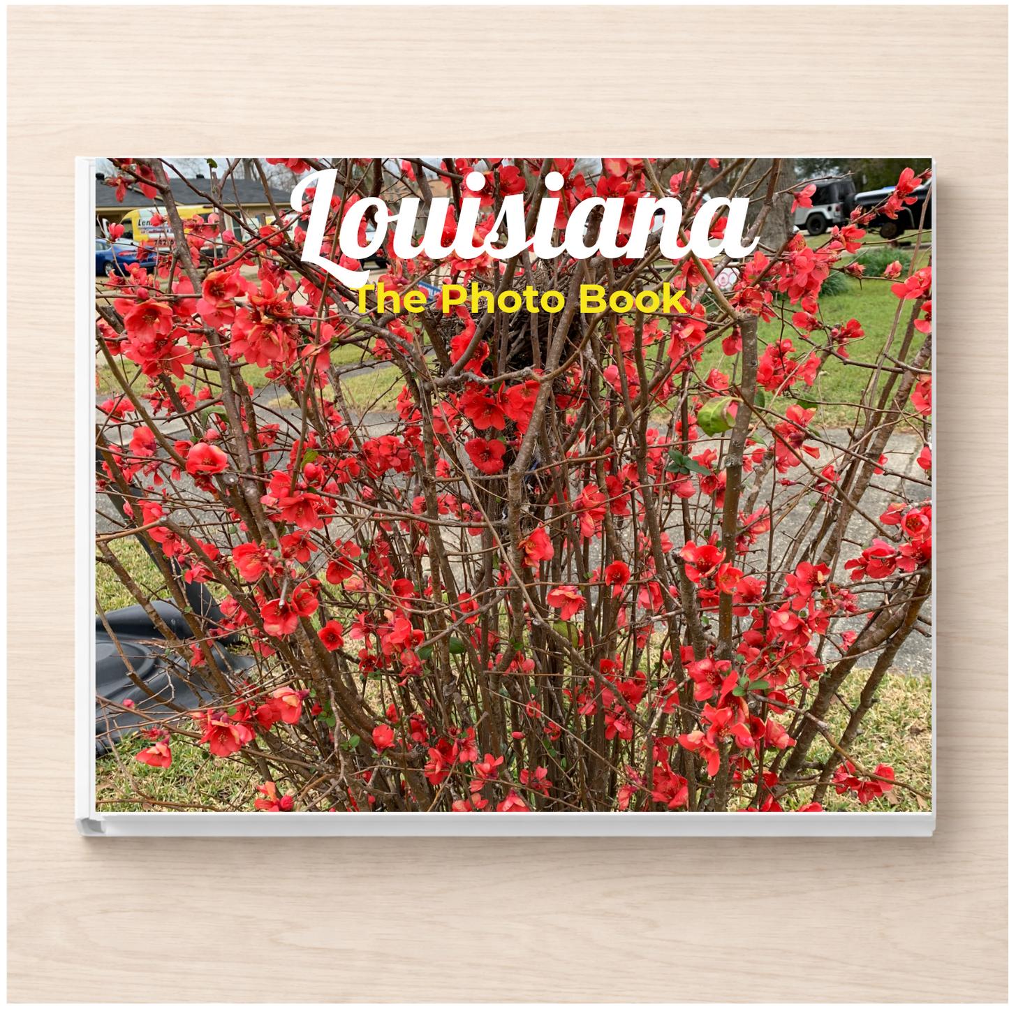 Louisiana: The Photo Book