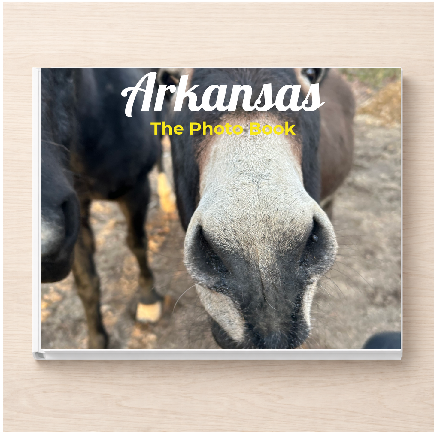Arkansas: The Photo Book