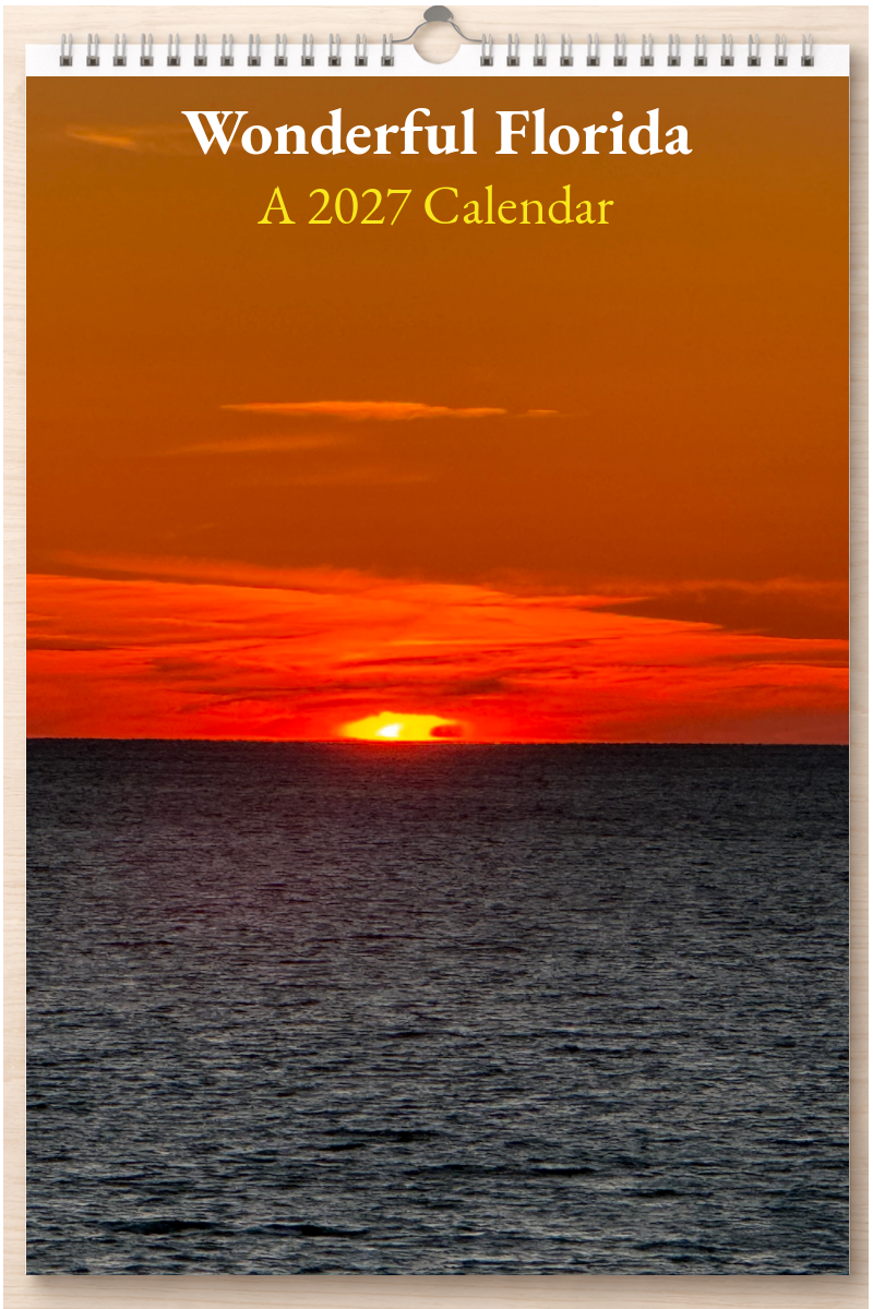Wonderful Florida: A 2027 Calendar