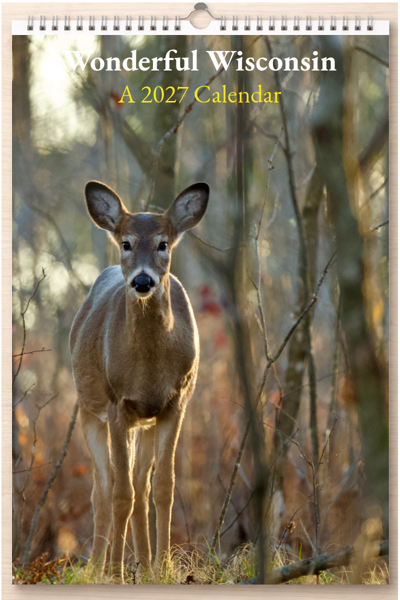 Wonderful Wisconsin: A 2027 Calendar