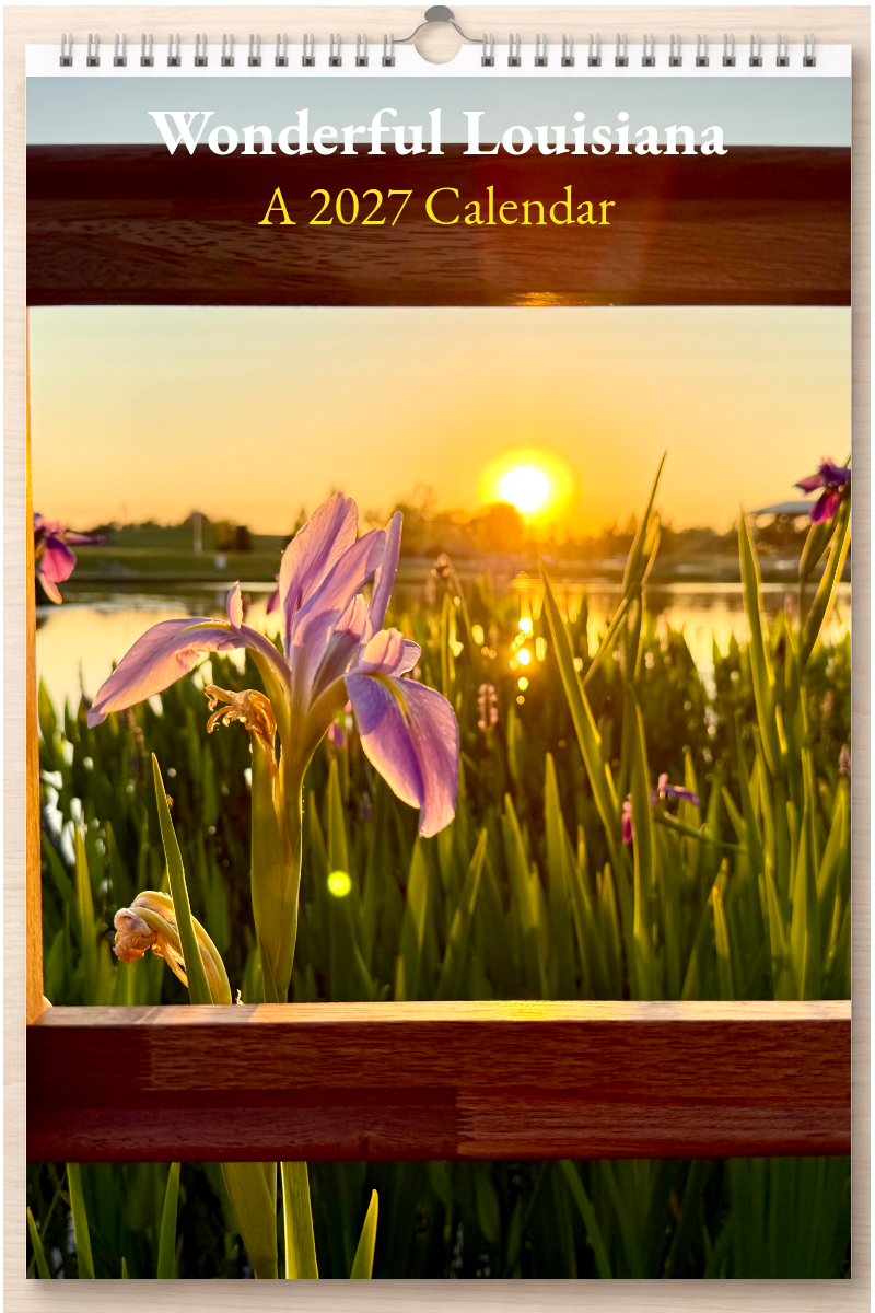 Wonderful Louisiana: A 2027 Calendar