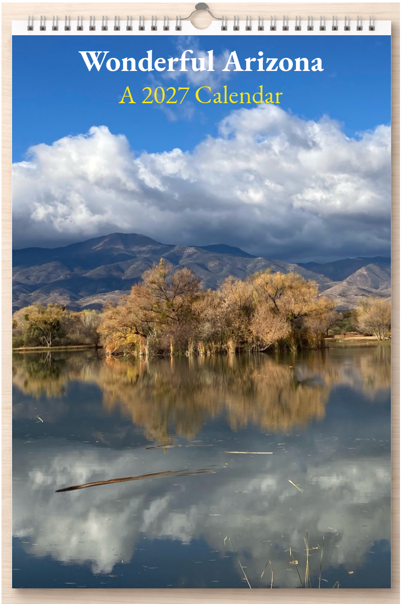 Wonderful Arizona: A 2027 Calendar