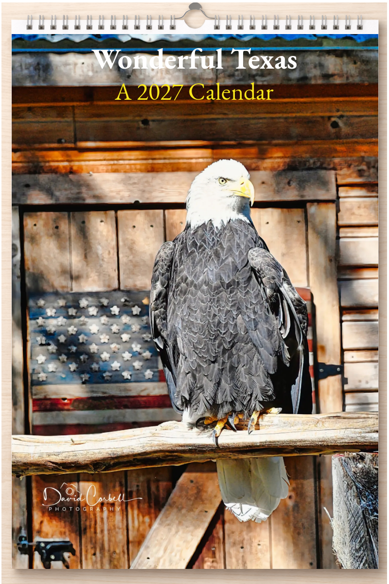 Wonderful Texas: A 2027 Calendar