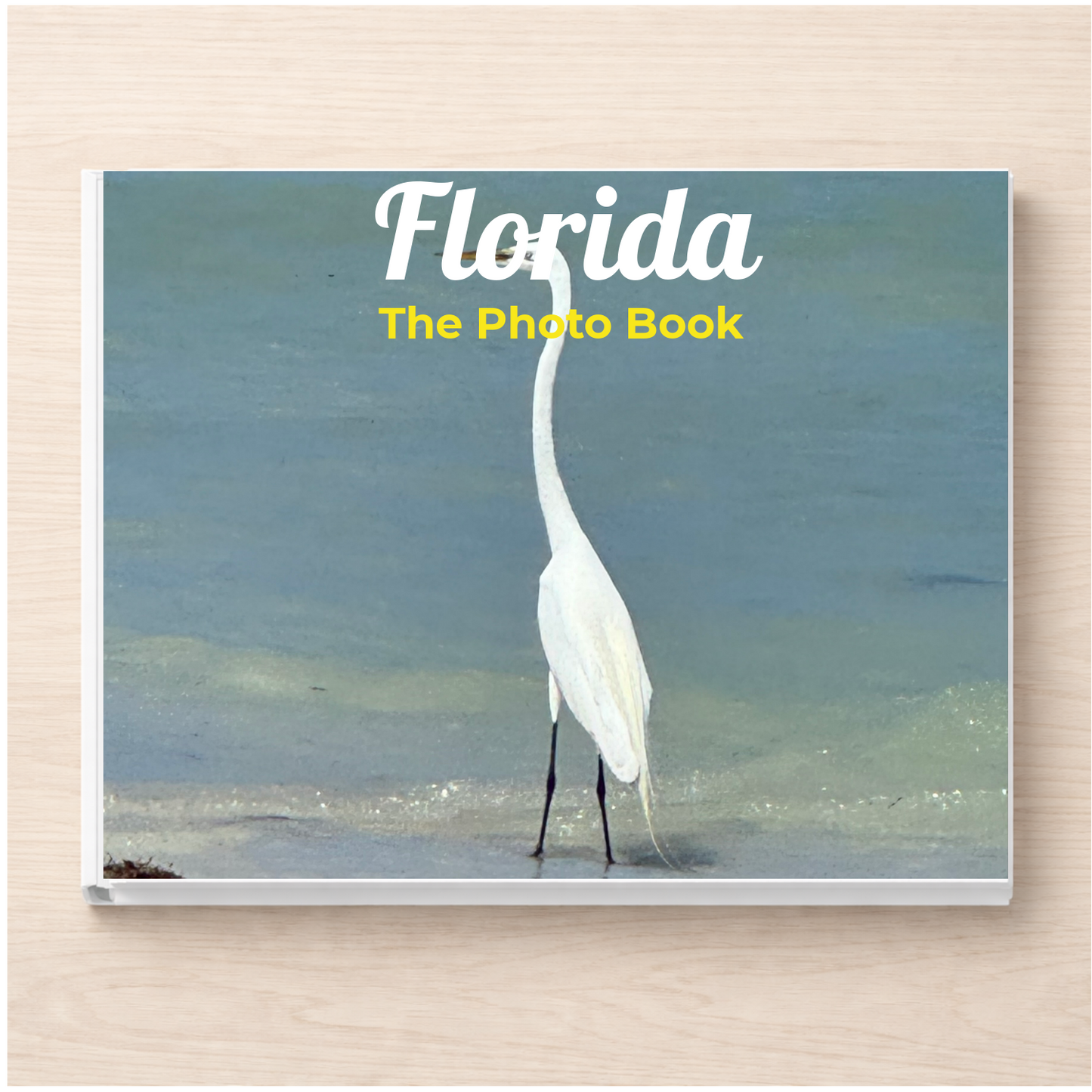 Florida: The Photo Book