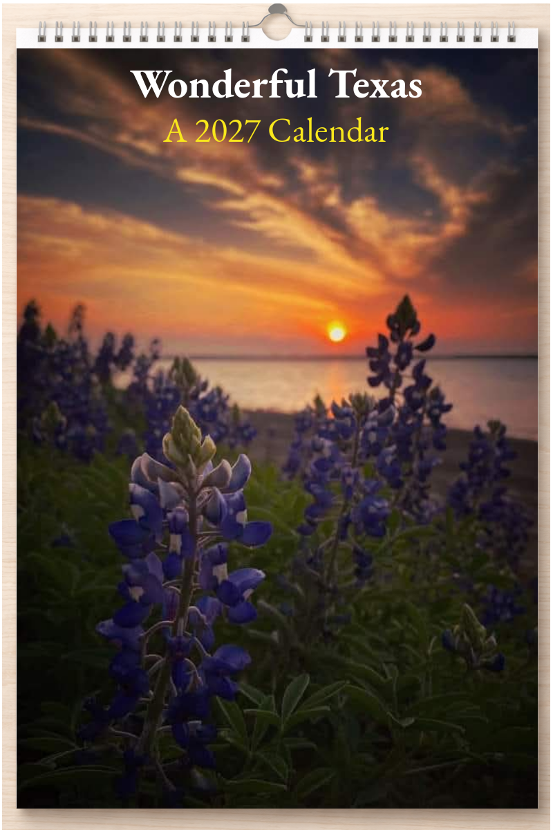 Wonderful Texas: A 2027 Calendar