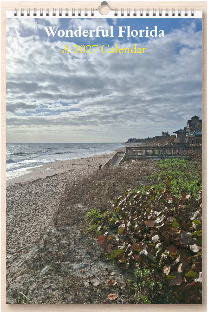 Wonderful Florida: A 2027 Calendar