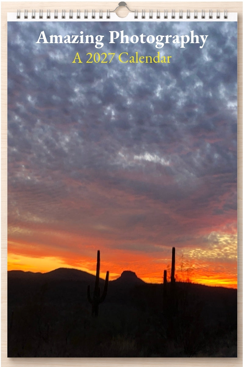 Amazing Photography: A 2027 Calendar
