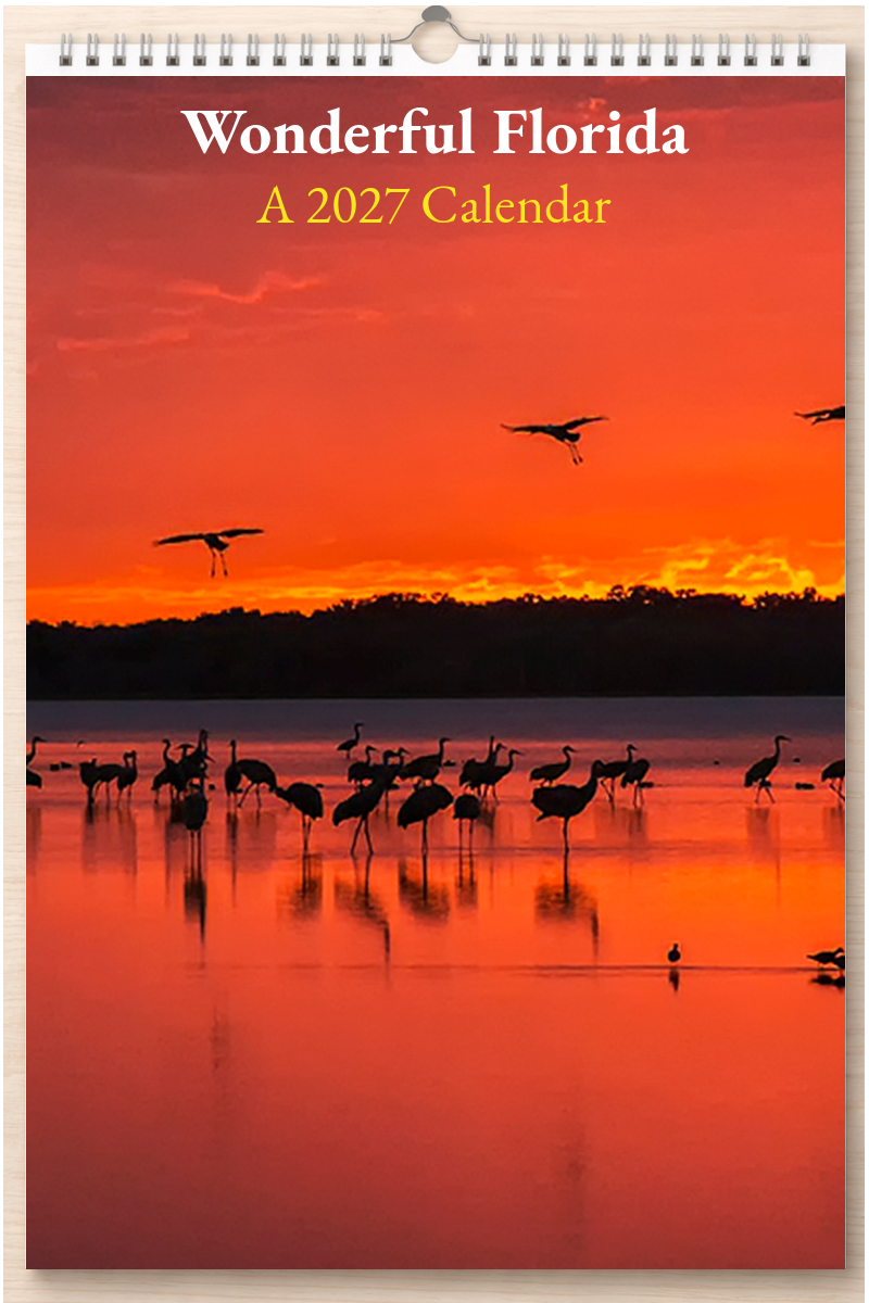 Wonderful Florida: A 2027 Calendar