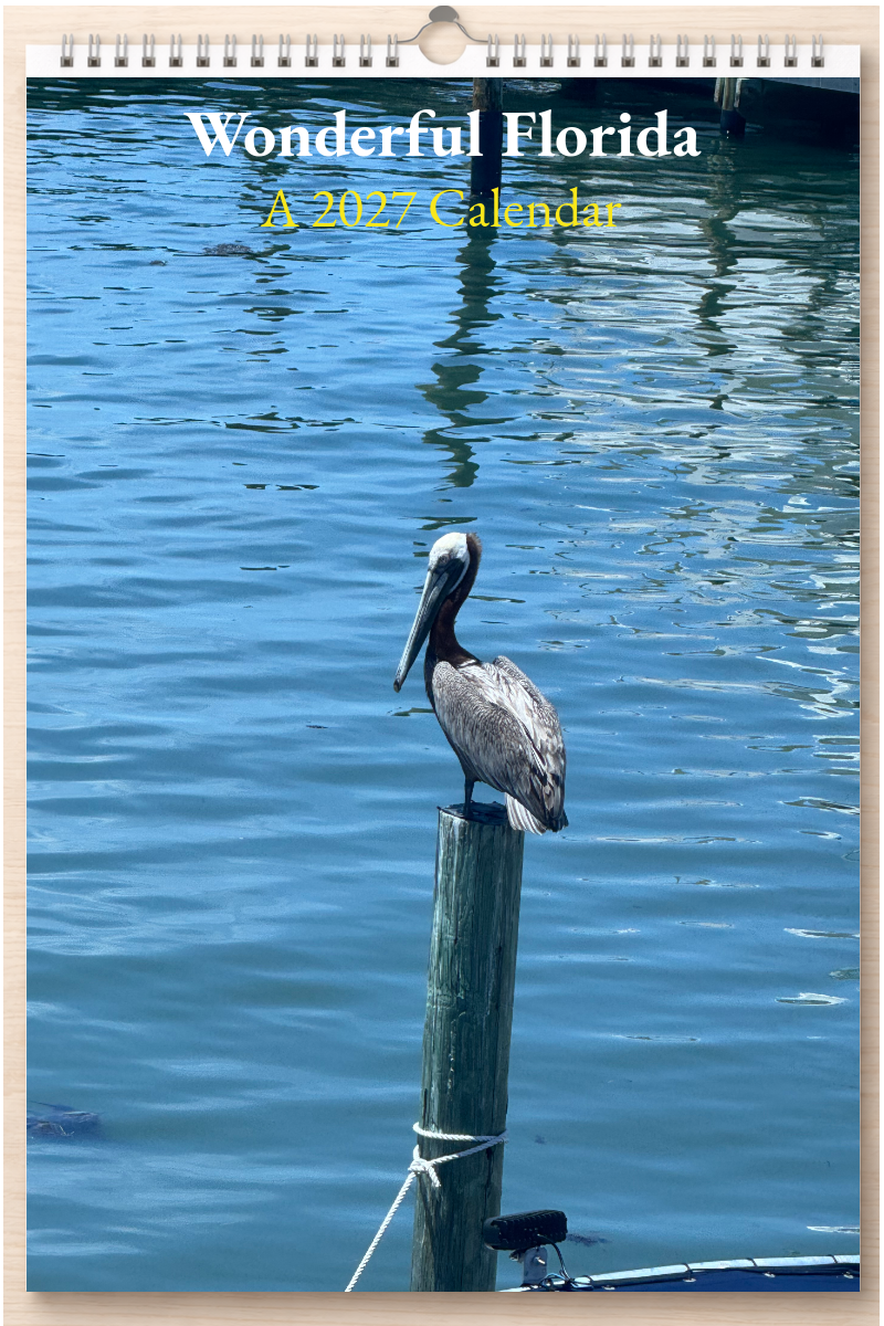 Wonderful Florida: A 2027 Calendar