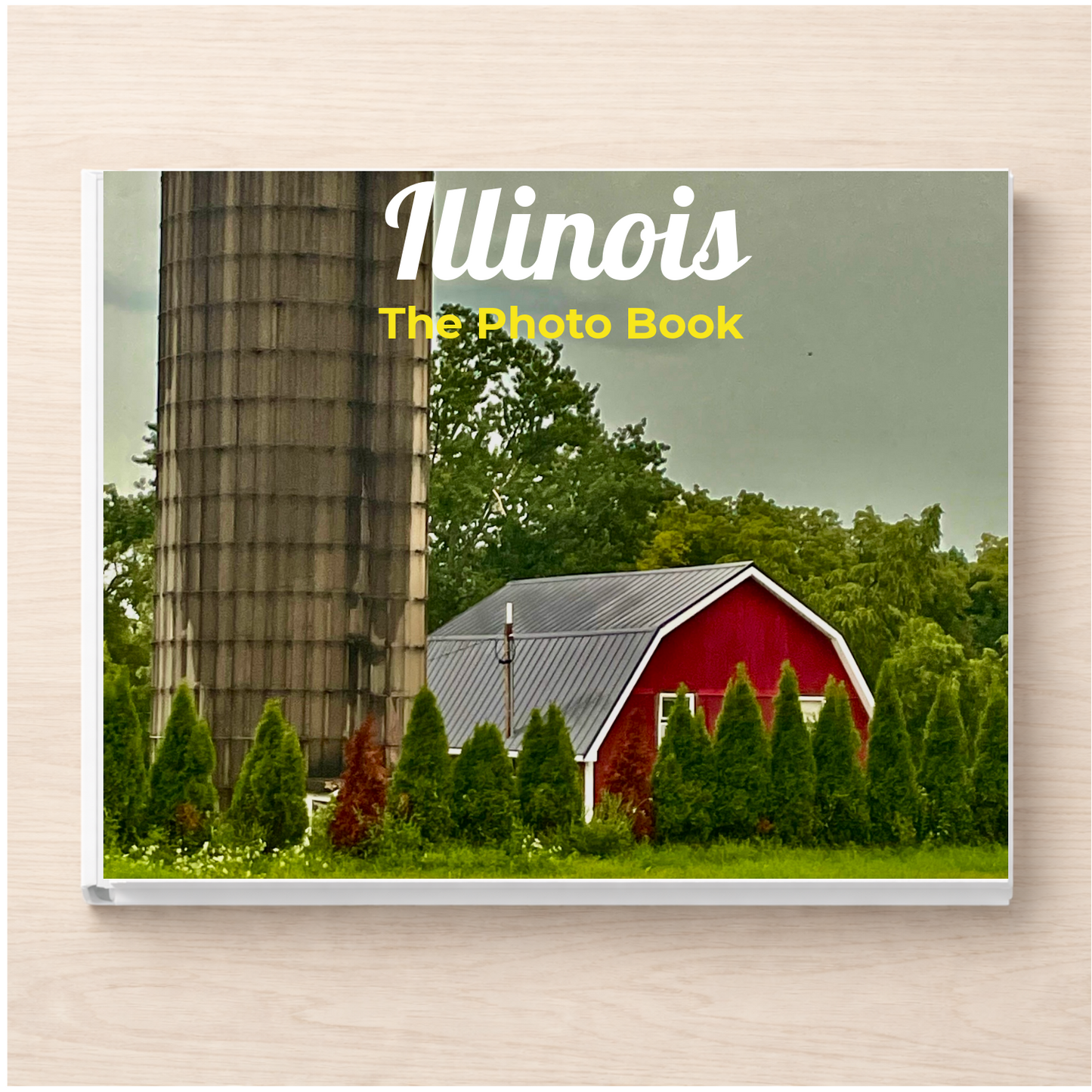 Illinois: The Photo Book