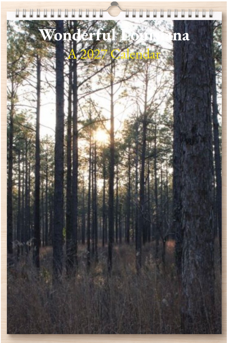 Wonderful Louisiana: A 2027 Calendar