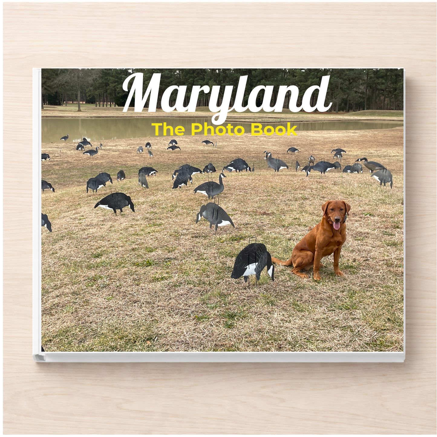 Maryland: The Photo Book