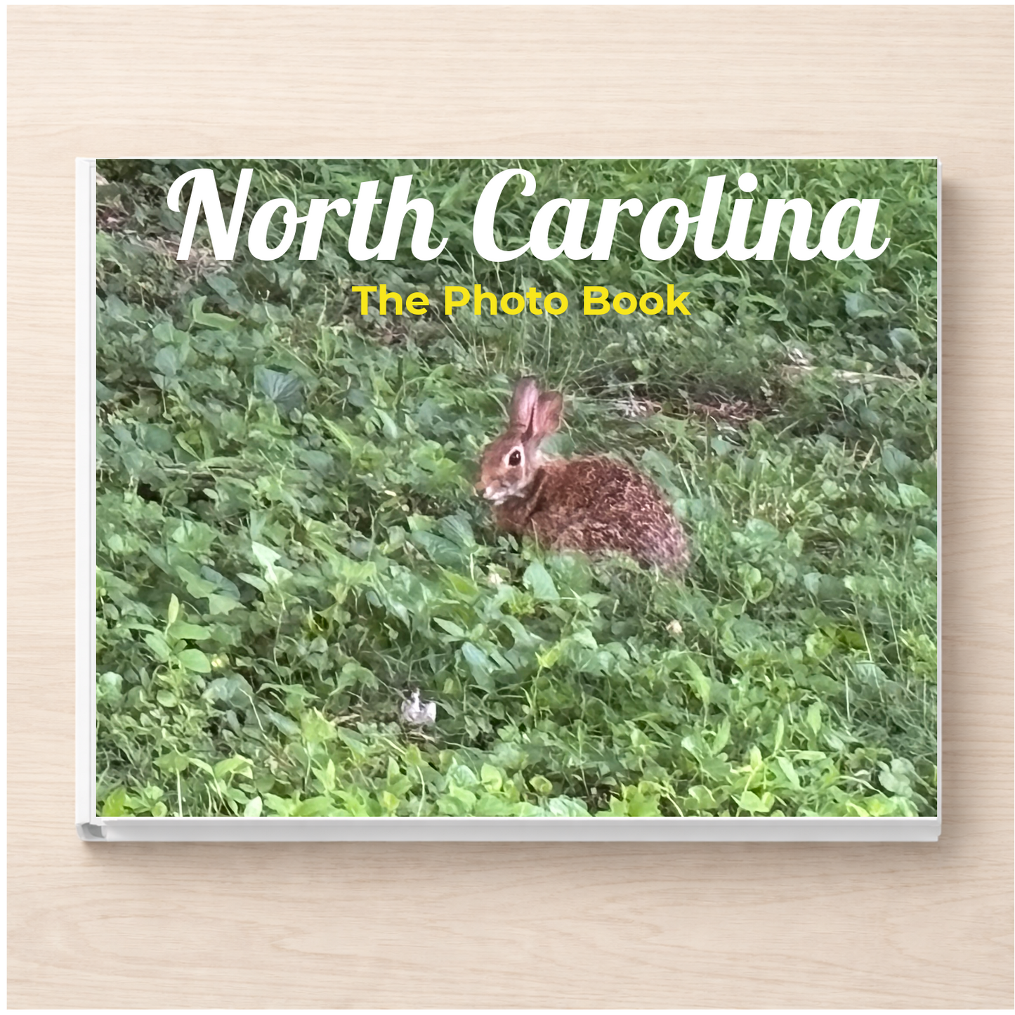 North Carolina: The Photo Book