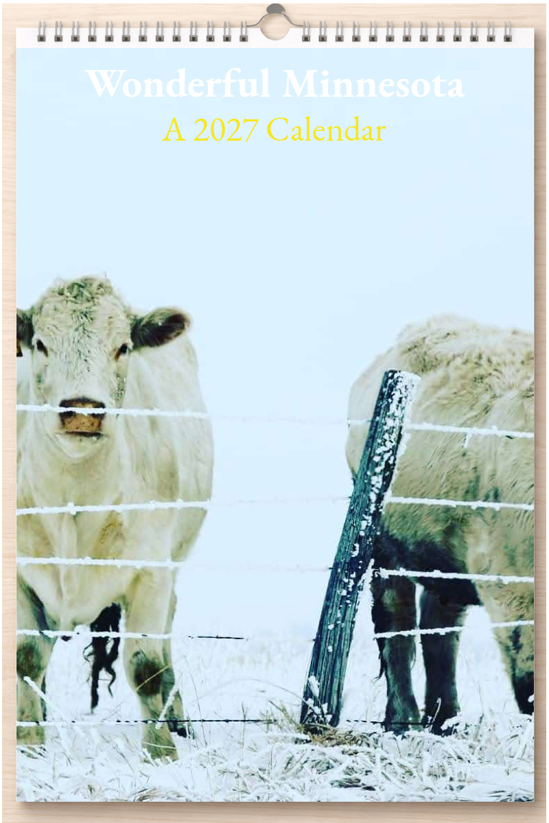 Wonderful Minnesota: A 2027 Calendar