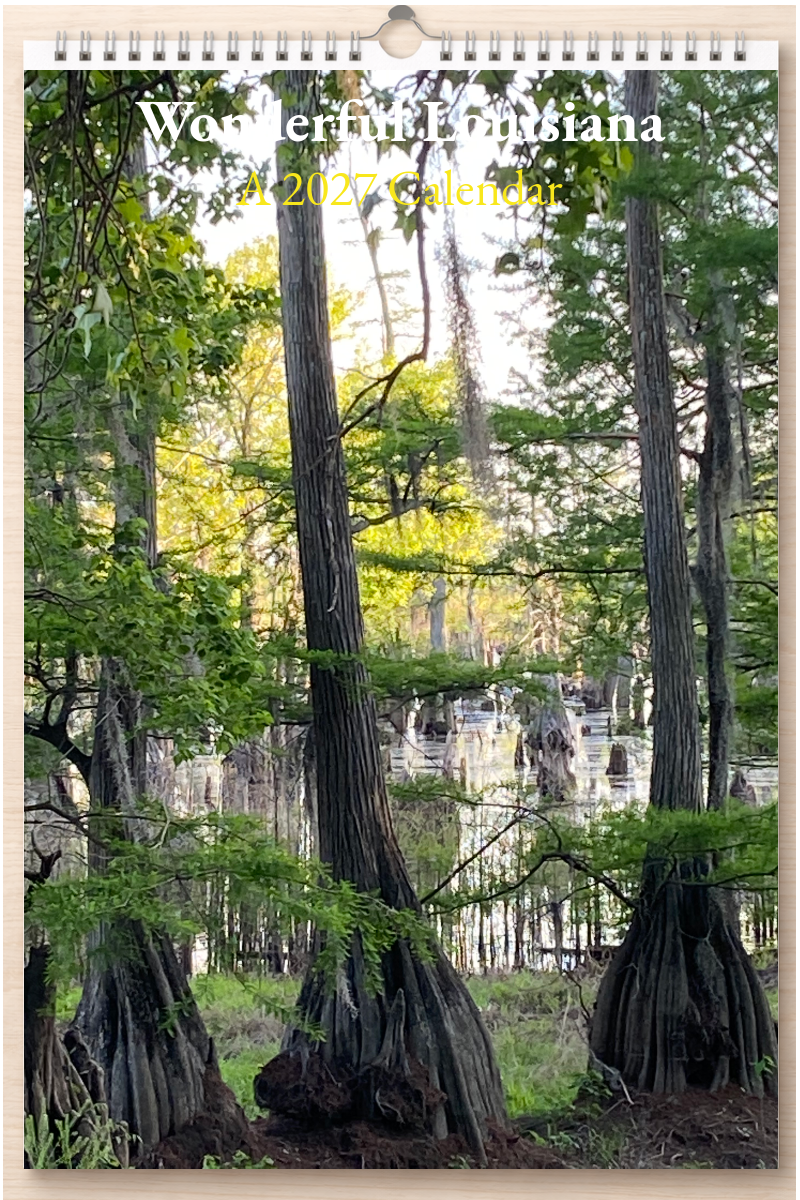 Wonderful Louisiana: A 2027 Calendar