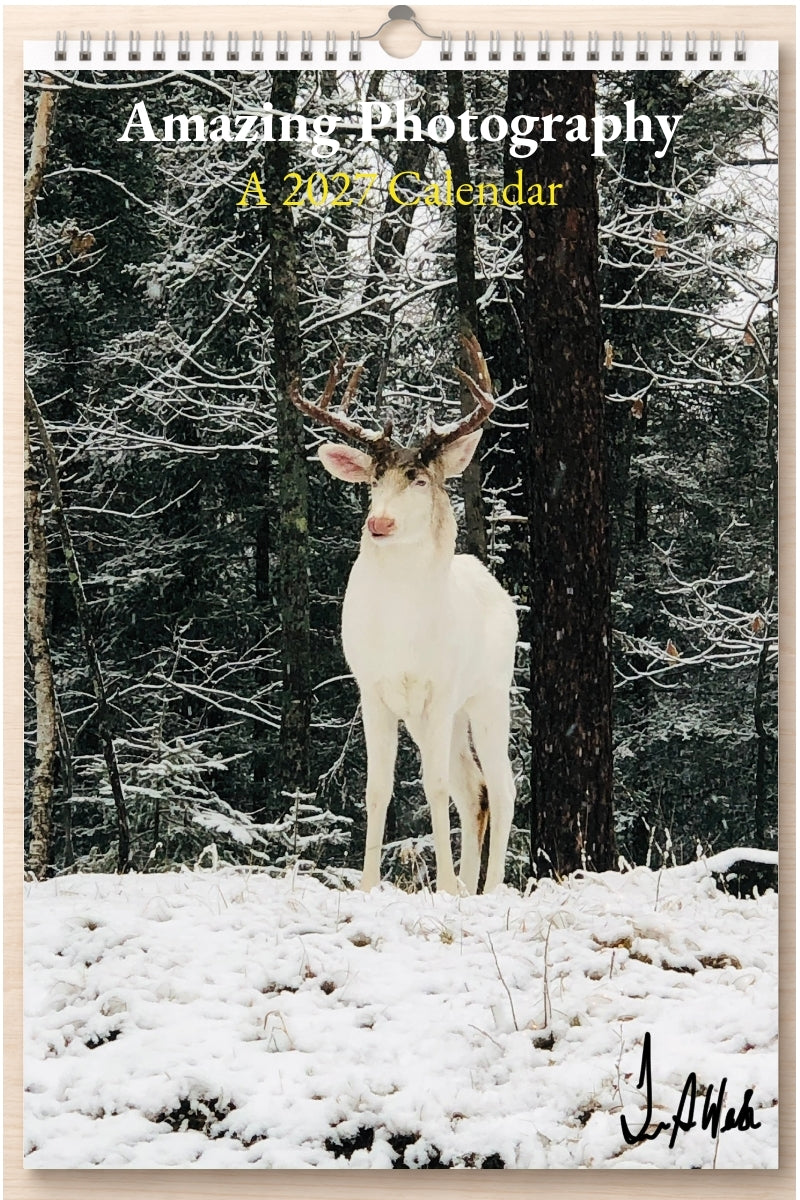 Amazing Photography: A 2027 Calendar