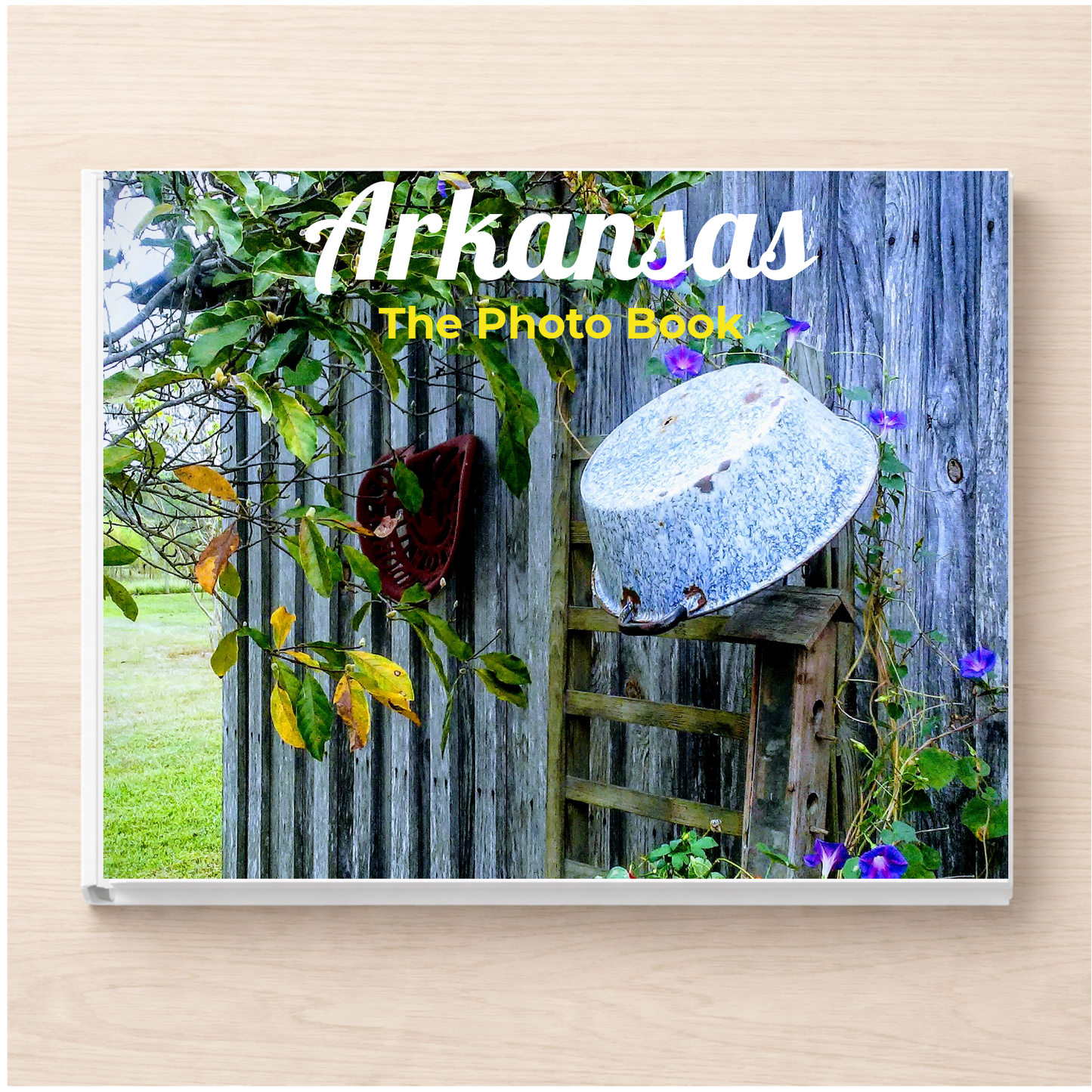 Arkansas: The Photo Book
