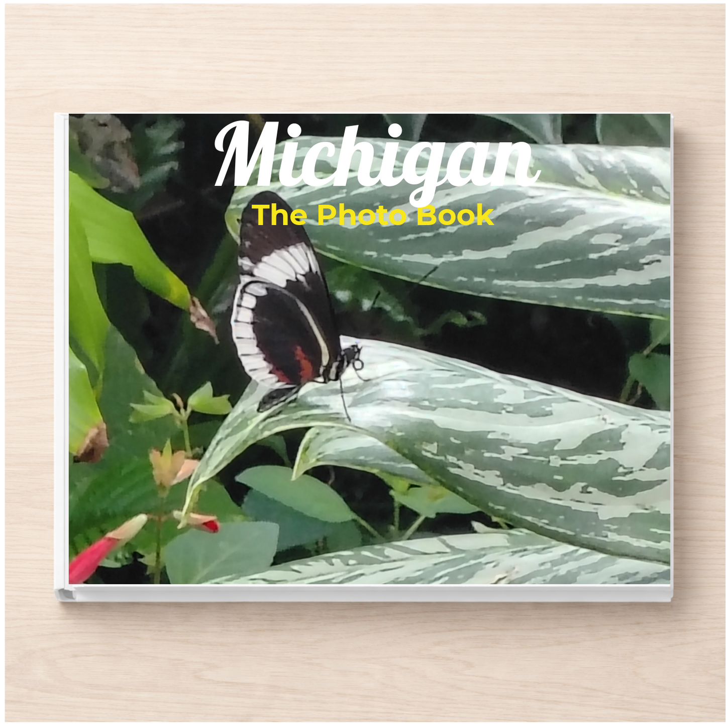 Michigan: The Photo Book