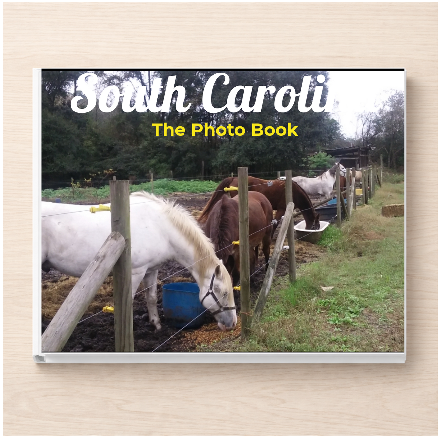 South Carolina: The Photo Book