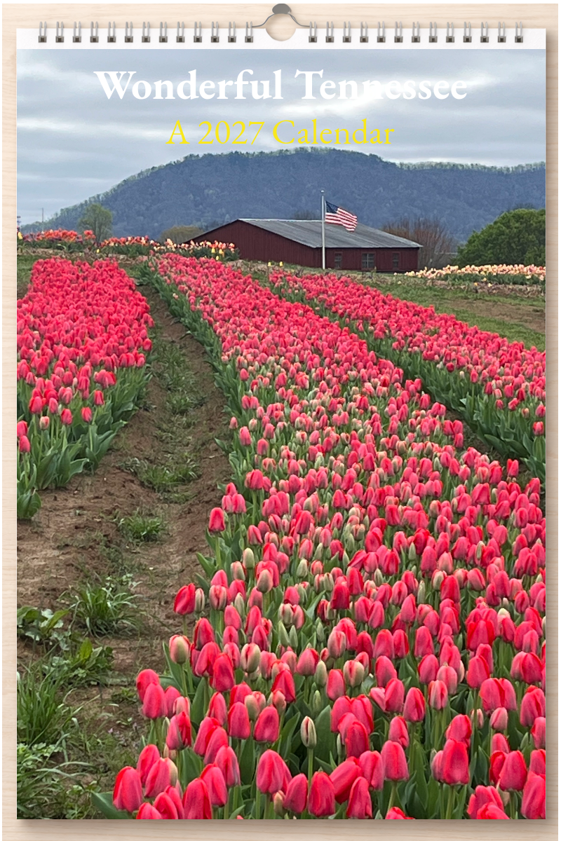 Wonderful Tennessee: A 2027 Calendar
