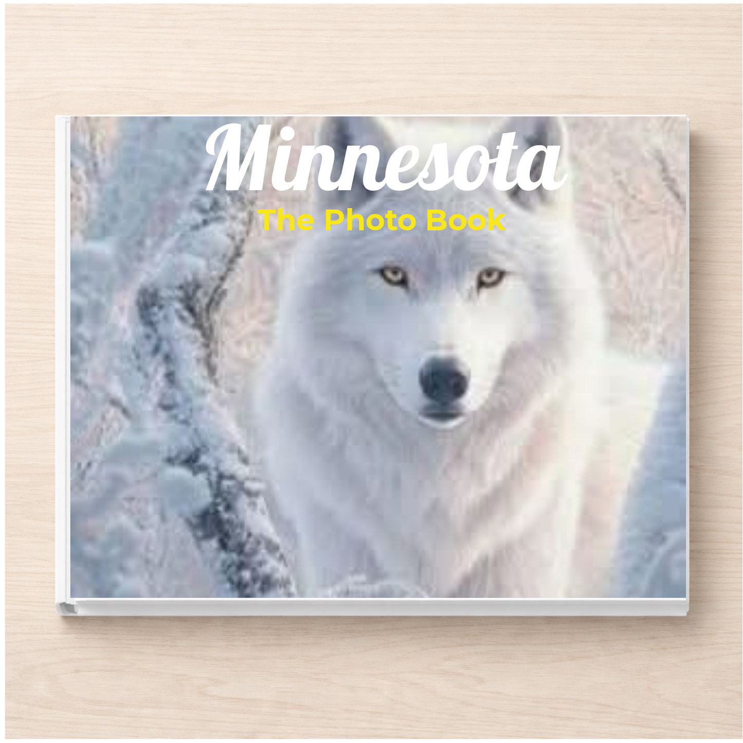 Minnesota: The Photo Book