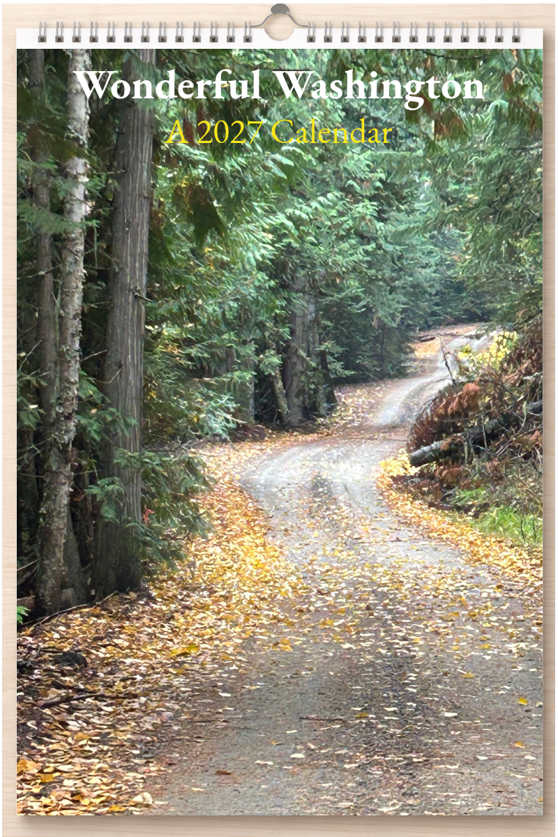 Wonderful Washington: A 2027 Calendar