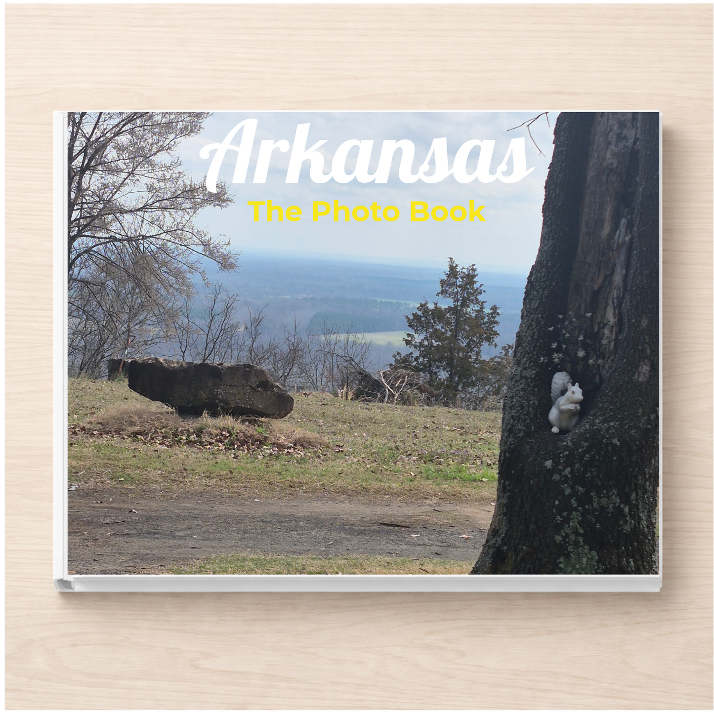 Arkansas: The Photo Book