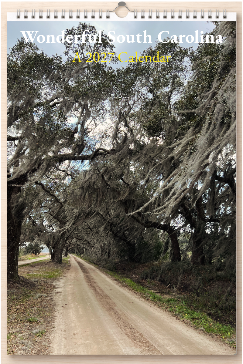 Wonderful South Carolina: A 2027 Calendar
