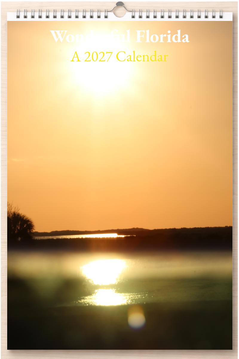 Wonderful Florida: A 2027 Calendar