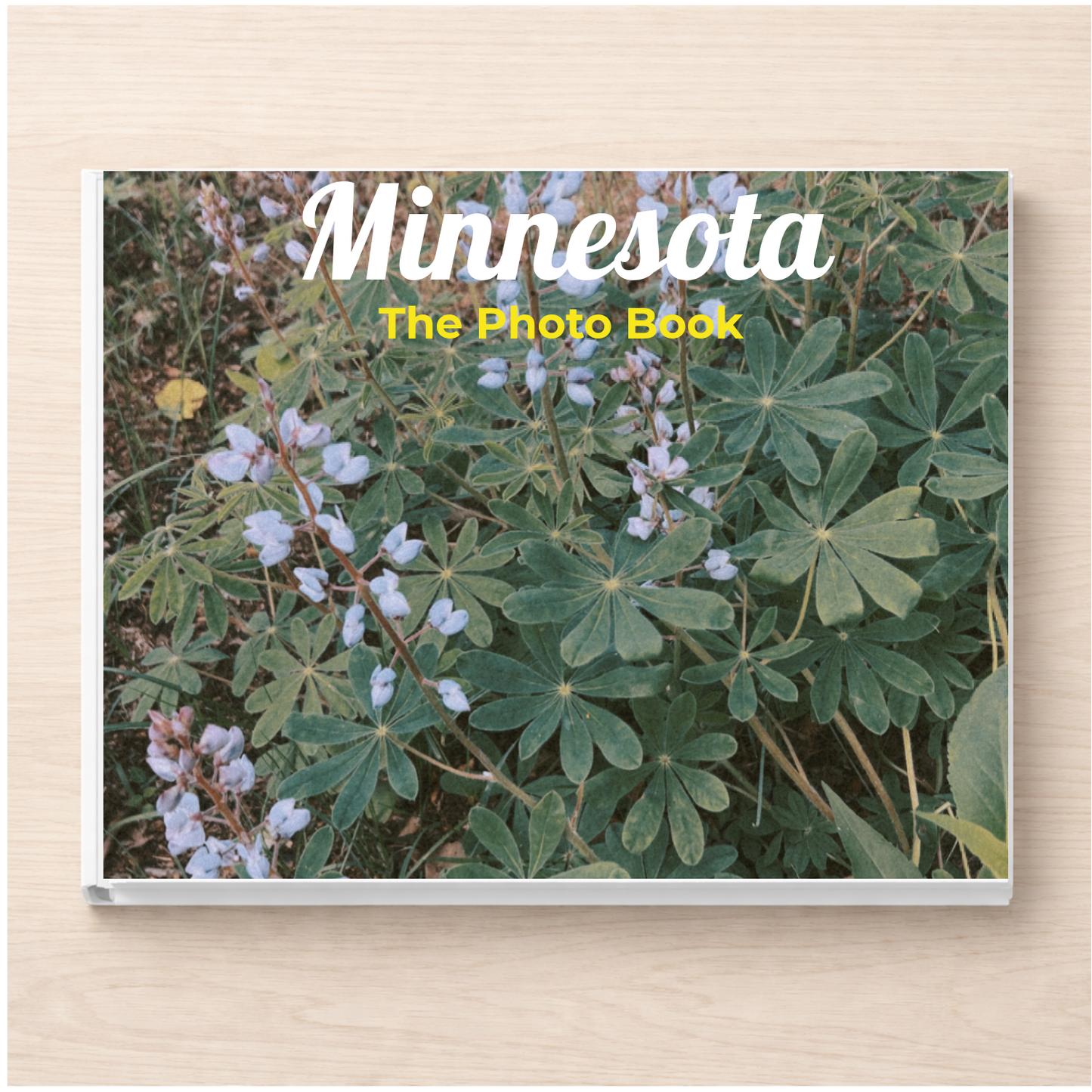 Minnesota: The Photo Book