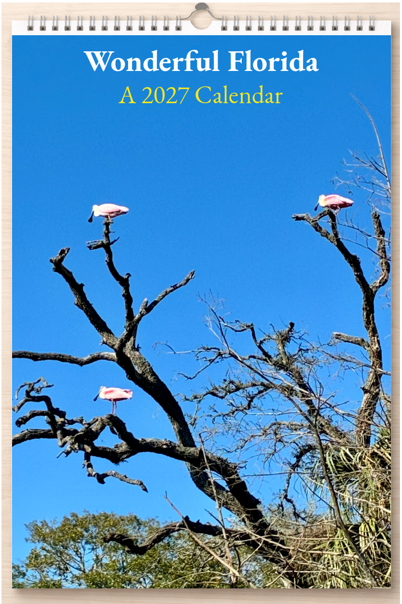Wonderful Florida: A 2027 Calendar