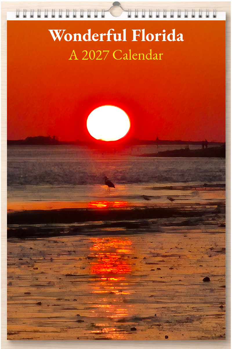 Wonderful Florida: A 2027 Calendar