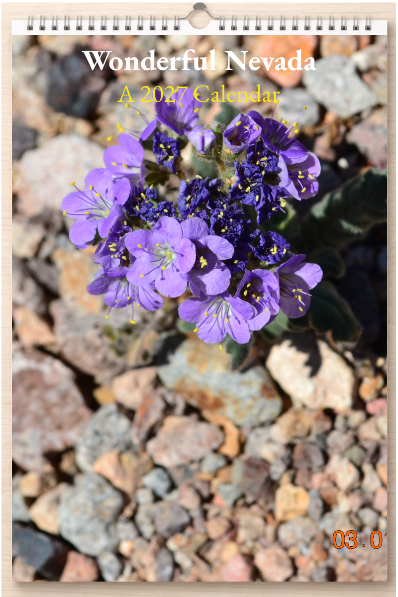 Wonderful Nevada: A 2027 Calendar