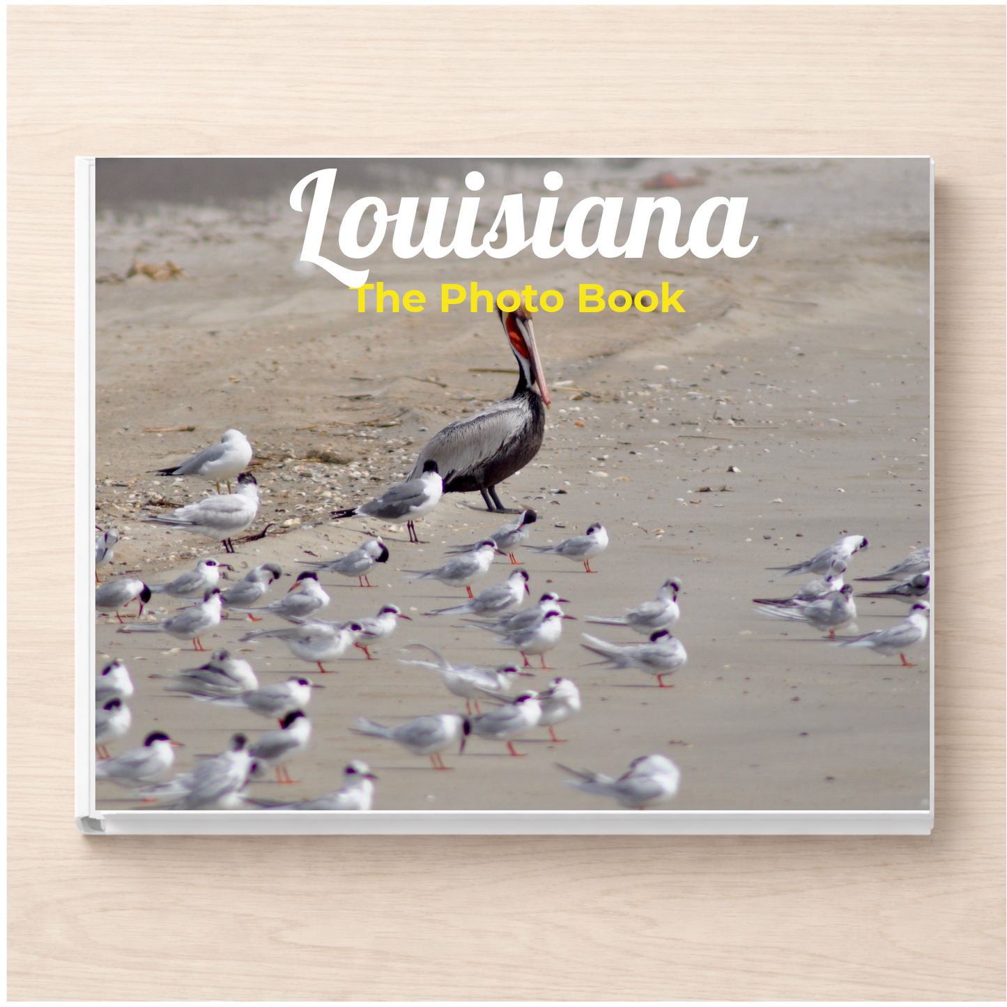 Louisiana: The Photo Book