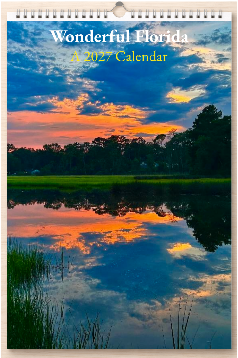 Wonderful Florida: A 2027 Calendar