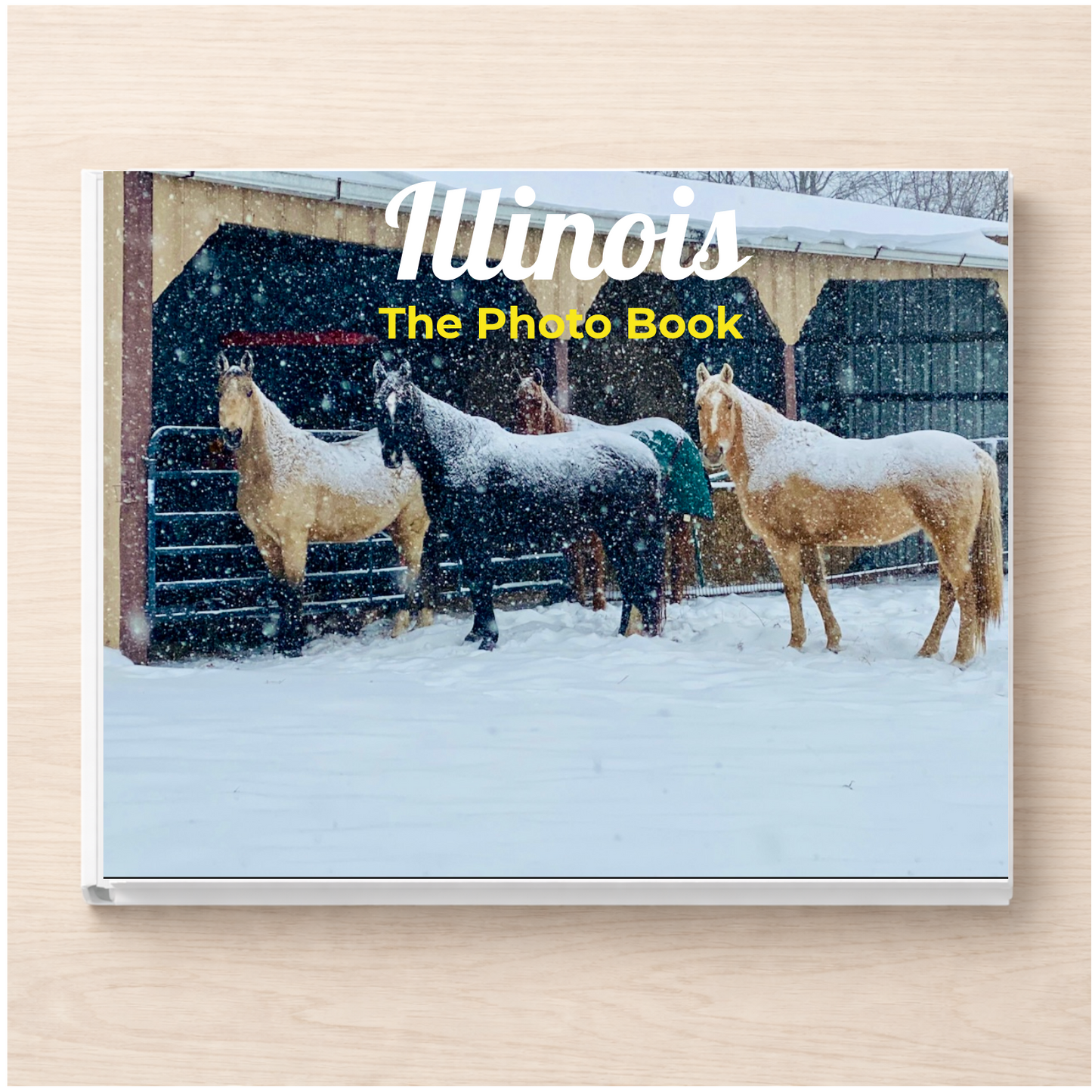 Illinois: The Photo Book