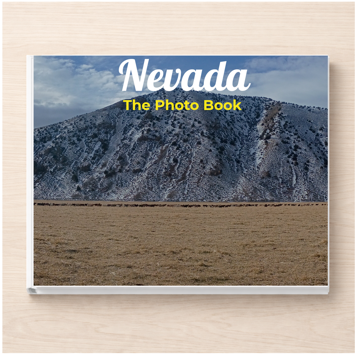Nevada: The Photo Book