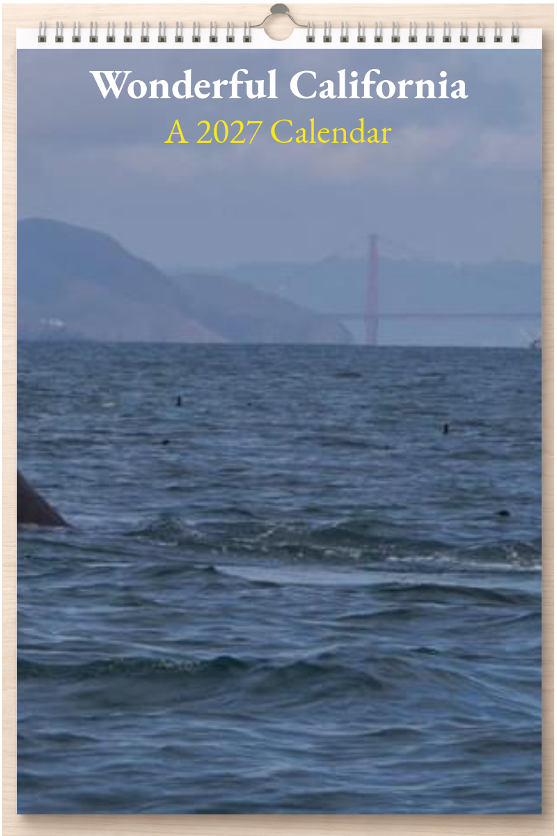 Wonderful California: A 2027 Calendar