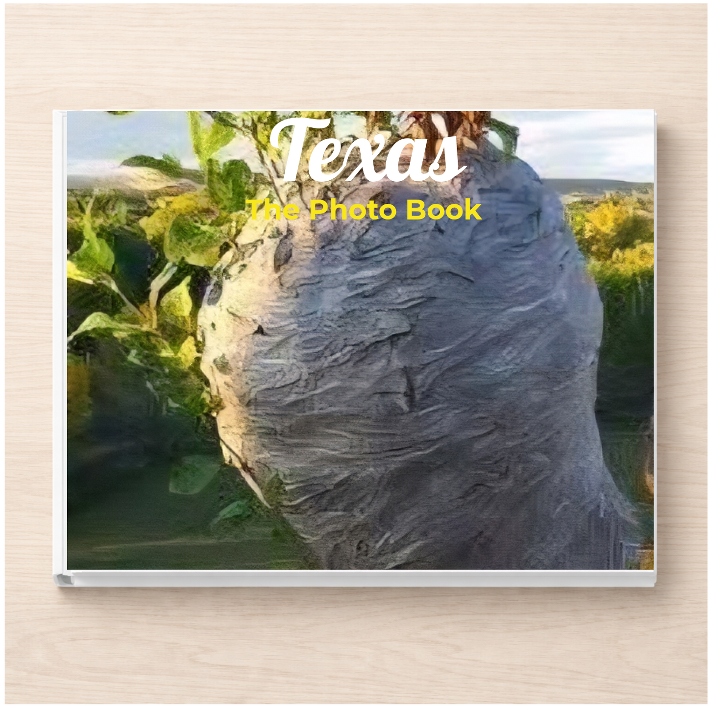 Texas: The Photo Book