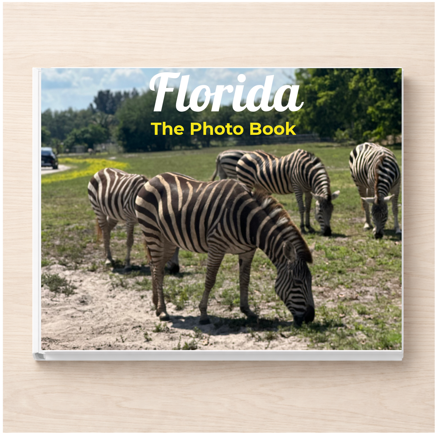 Florida: The Photo Book
